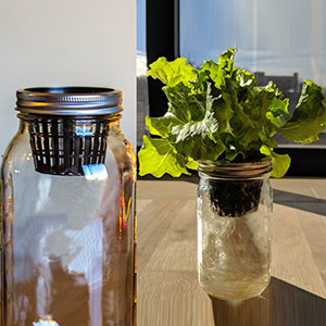 Commercial Aquaponics Growing Systems Agricultural Greenhouse Indoor Hydroponics Plant Net Basket Hydroponic Vegetable