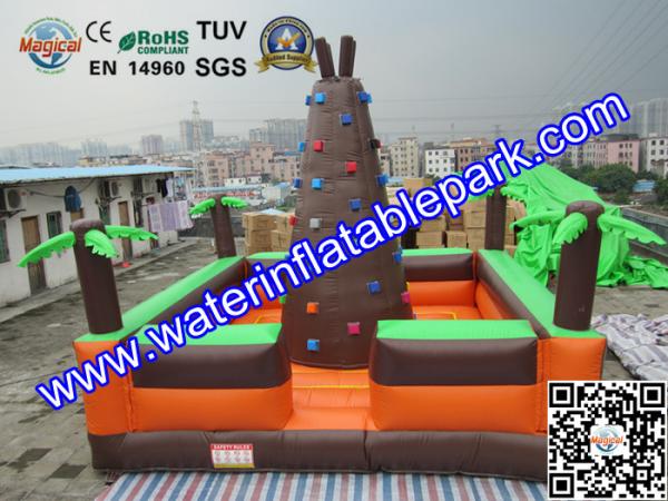Giant  Inflatable Sport Games , Inflatable Climbing Wall 6M x 6M