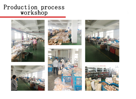 Saferlife IV Practice Arm Injection Practice Mold Kit for Nurses &Medical Students