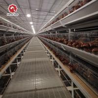 De um dia à gaiola da galinha de grelha de 45 dias para a exploração agrícola de galinha
