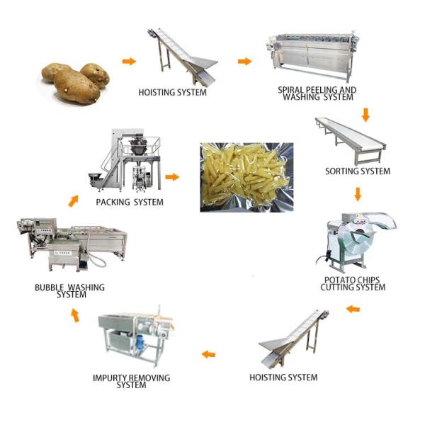 Automatic Pea Starch Vermicelli Machines/Instant Pea Starch Vermicelli Equipment/Non-Freezing Glass Noodle Production Line