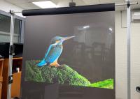 filme de tela holográfico transparente reflexivo claro da projeção traseira de 1.52*30m para Home Theater