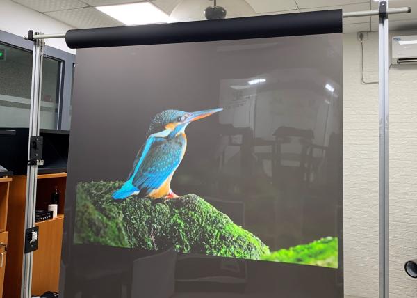 3D Holographic Adhesive Rear Projection Film For Display , Durable