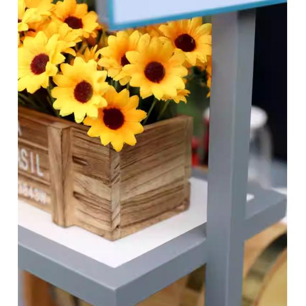 USA Market Customize Ice Cream Bicycle Food Carts with 100kg Capacity