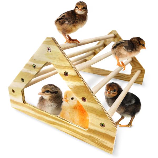 Gray Chick Perch Strong Wooden Jungle Gym Roosting Bar Chicken Toys for Coop and Brooder