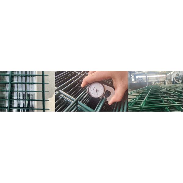 868 656 Powder Coated Double Wire Welded Mesh Fence Panels