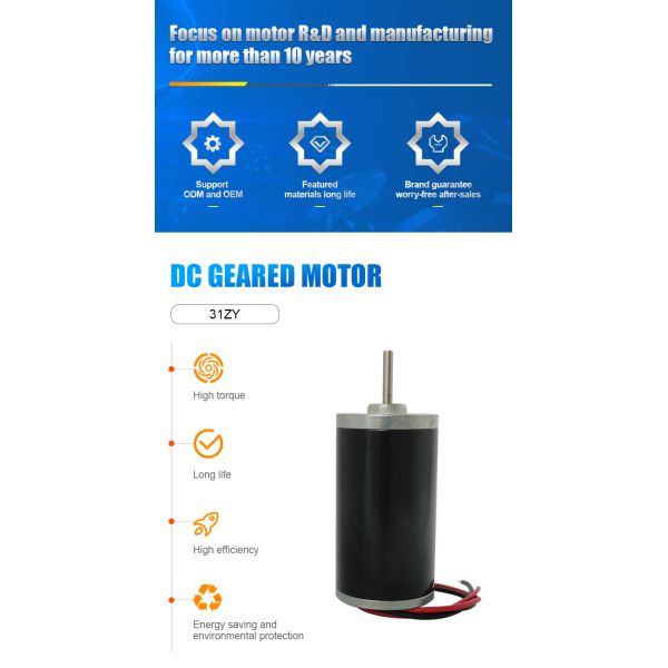 FT-31ZY Carbon Brushed Micro Motor 6V 12V 24V DC Micro Motor For Smart Homes