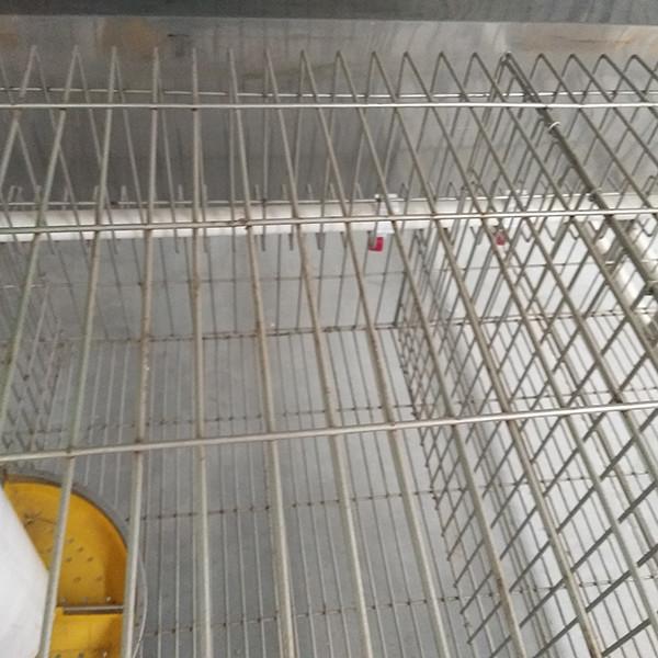 High Performance Farm Rabbit Cage Anti Corrosion Galvanized Surface Easy Drinking