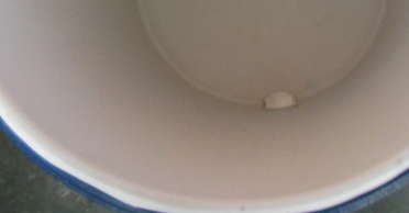 11Gallon 43L  Outdoor Plastic Cooler Box Milk bucket  Igloo water cooler 48H cooler