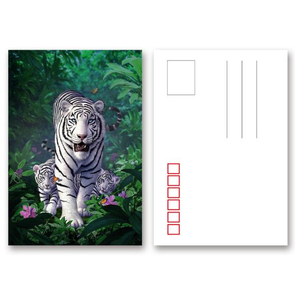 Tear - Proof 3D Animal Postcard Custom Tiger Design Printing Size 11x16cm