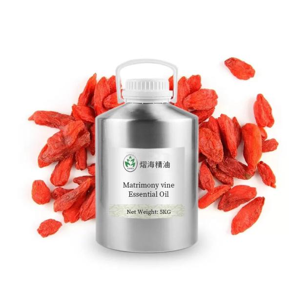 Aromatherapy Cosmetic Wholesale bulk Matrimony vine Lycium chinensis Chinese wolfberry oil