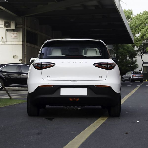 Hot Selling 410km Long Range 2025 Geely Geome Star Wish EV - Eco-Friendly Compact Electric Car