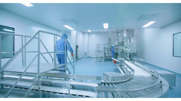 High Adsorption Silica Selling White Sio2 Powder Silicon Dioxide For EINECS 238-455-4