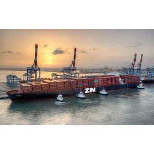 Sea Freight Shipping
