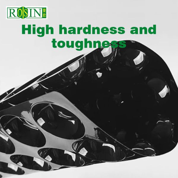 Customized grid fruit display tray design PP/PET plastic tray suitable for fruits and vegetables