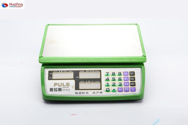 DaHongYing TCS-F Digital Computing Scale with LCD Display and Power Supply Options from DaHongYing