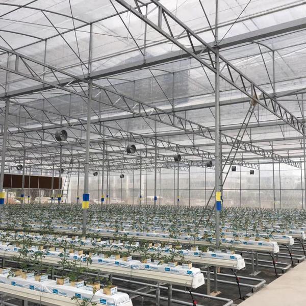 Литай многоразовые пленки теплицы 10-100 м длина для сбора гидропонных микрозеленых