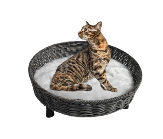 Morden Style Artificial Rattan Pet Furniture Fashion Indoor Pet Bed Dog Bed House Waterproof