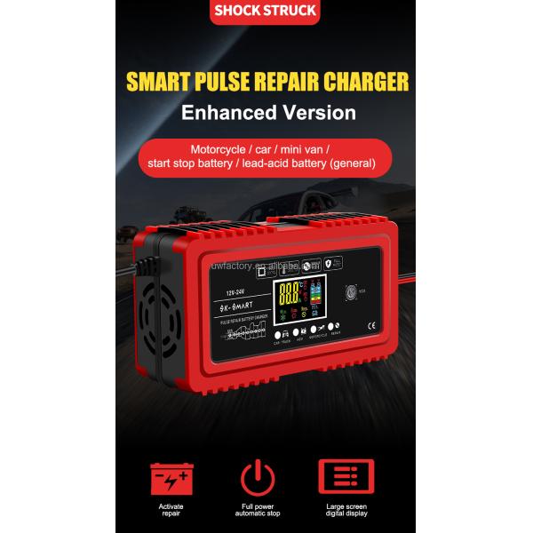 12V 12A/24V 6A Universal Lead Acid Battery Charger for Car AGM Battery Private Mold Automatic Identification Universal