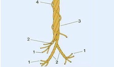 High Carbon 72A Tyre Steel Wire 3x3x0.15 For Metal Carcass Material