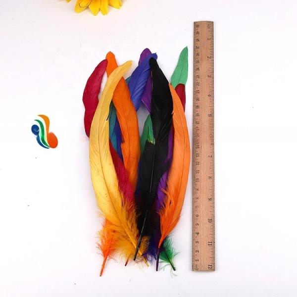 8-10 polegadas de penas de cauda longa de galo tingido para DIY acessórios de cabelo e trajes