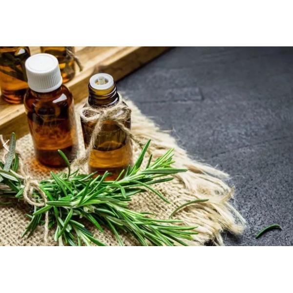 Free Samples Miss Di Or Cherie Perfume Fragrance Oil Day And Night Using