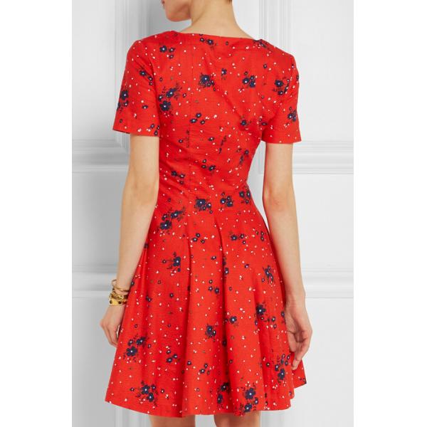 Women New Designed Printed Mini Dress