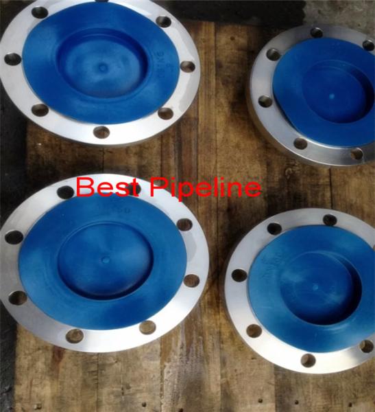 300LBS Pressure Forged Steel Flanges 304L ANSI - Flansche DIN 28031 - 26036