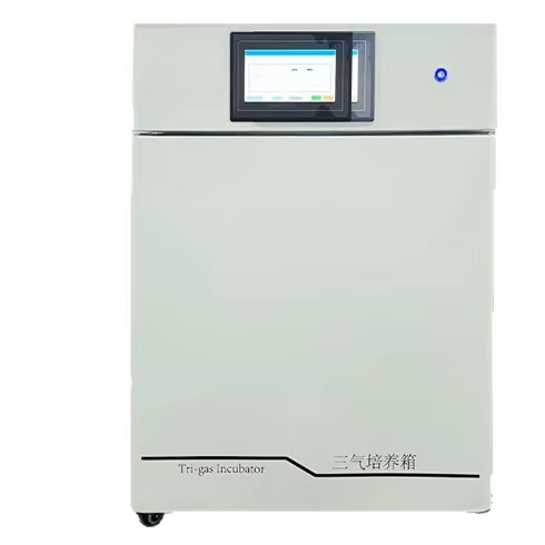Three-gas Hypoxia Incubator with Constant Temperature 0.2 Fluctuation for Cell Culture