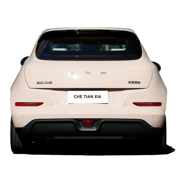 Sédane Mini Véhicules électriques à grande vitesse Petite Sédane électrique Ora Chat Pour Adultes