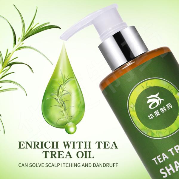 Private Label Natural Organic Anti Inflammation Anti Hair Loss Tea Tree Oil Hair Shampoo