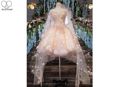 Pink Short Fitted Wedding Dress Special Irregular Transparent Lace Long Tail
