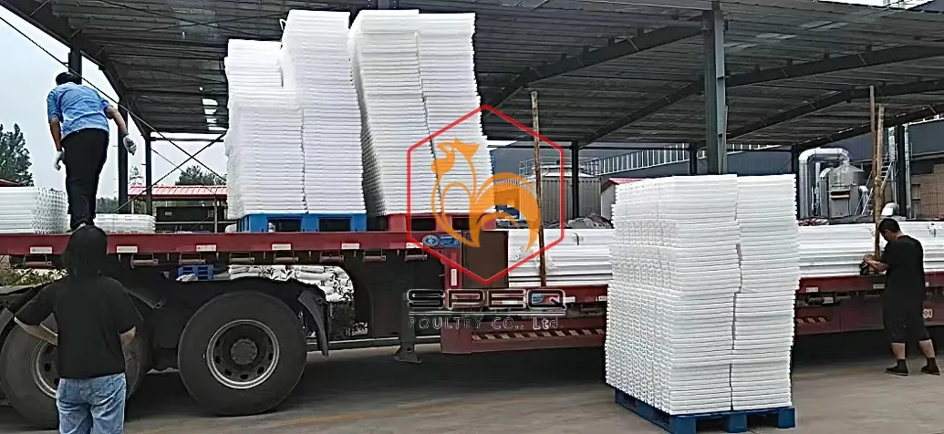 Poultry Equipment Plastic Slats Flooring Moisture Resistant for Broiler Farm
