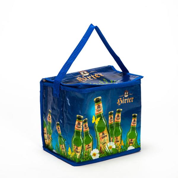 Portable 6 Pack Soft Sided Coolers , PP Woven Beer Cooler Bag For Shopping