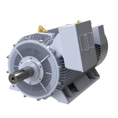 Motor síncrono refrigerando natural Eco de ímã permanente de PMSM amigável