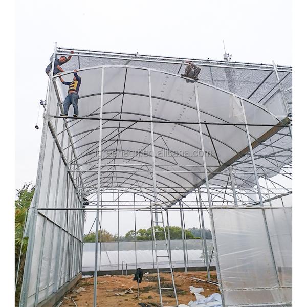 Strong Structure Large Multi-Span Agricultural Tropical Greenhouses PE Plastic Film Covered Gutter Rain Water Collection