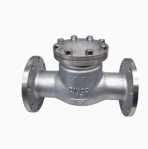 ANSI Class 100 10 Inch SS304 Stainless Steel 316 Flanged Swing Check Valve Dual Plate Check Valve