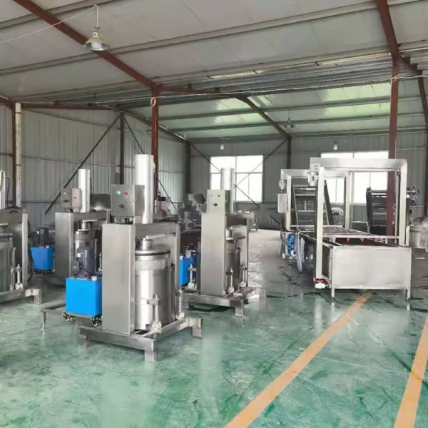 Custom Commercial 36L Manual Hydraulic Jack Honey Fruit & Vegetable Press Stainless Steel Commercial Hydraulic Cold-Press Grape Juicer