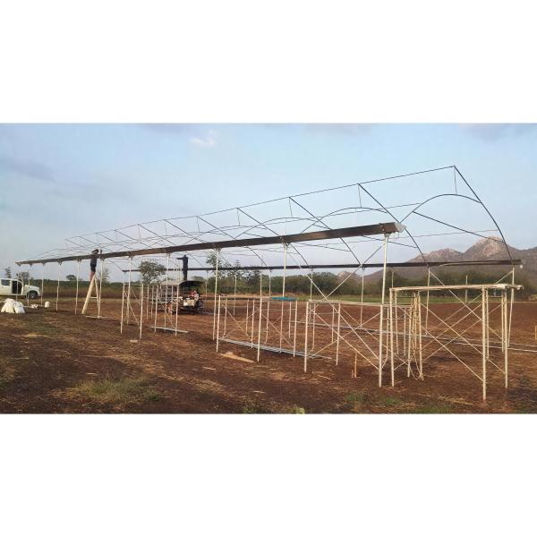 Single Span Greenhouse 8-12m Wide with 90mph Wind Resistance