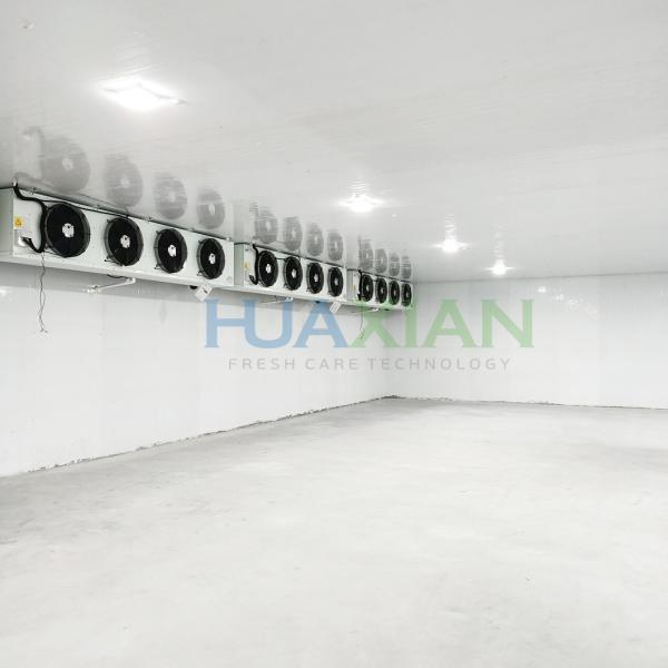 China Refrigeration Unit Industrial Walk in Blast Deep Freezer Food Storage Cold Room