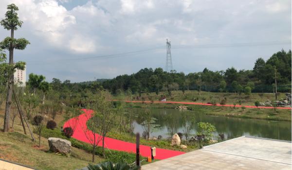Colorful Custom EPDM Rubber Running Track With Excellent Shock Absorption And Easy Installation