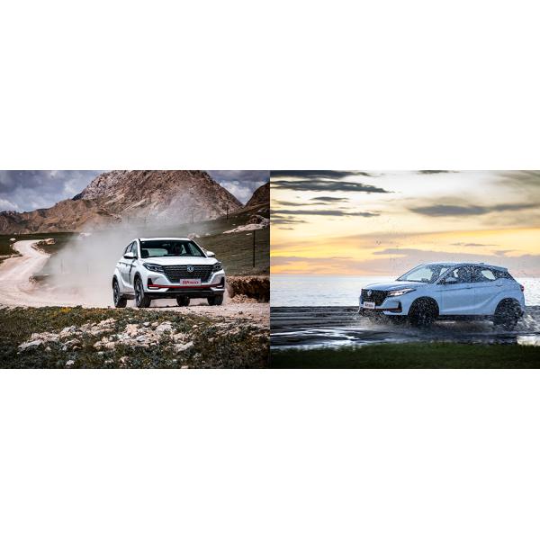 DFSK Compact SUV Glory 500 EU Conformity Certificate Mini Truck Van Vehicles