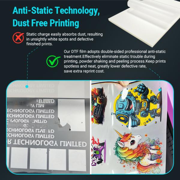 FCOLOR FREE DELIVERY USA 33cm DTF Film 100M Roll 3 in 1 Instant Hot Cold Peel for DTF Printer US Stock Ready