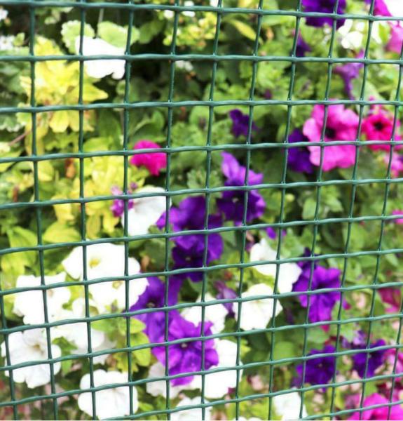 Green PVC Coated Welded Wire Mesh Long-Lasting Fencing Solution