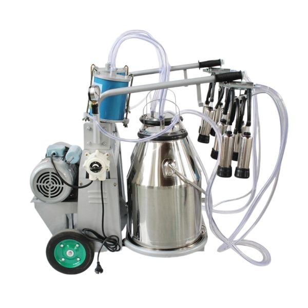 Piston Milking Machine-Double Bucket