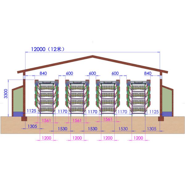 Full Automatic H-Type Layer Chicken Cage with Hot Dip Galvanized Drinkers and Feeders for Poultry Farm