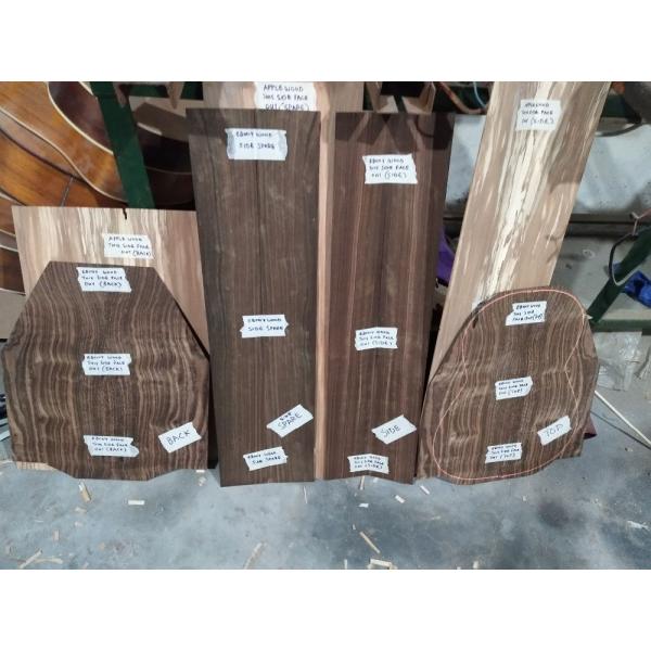 AAAA handmade all Solid ebony wood single cut guitar 14 frets imported wood armrest GA acoustic electric guitar