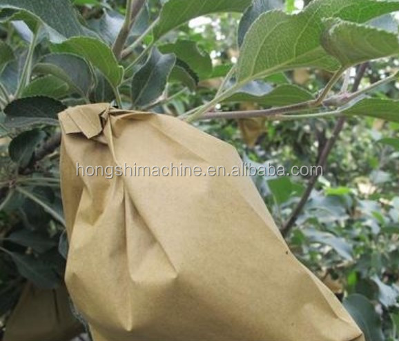 High Speed Fruit Vegetable Processing Machine Grape Growing Cover Paper Bag Maker