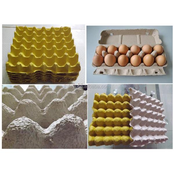 Advanced paper pulp moulding biodegradable egg tray machine production line with competitive price
