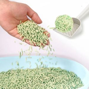 Wholesale Price High Quality Green Tea Scent Efficient Odor Control Clumping Cat Litter 1.5kg/2kg/2.5kg/3kg Eco-Friendly Strip-Shaped Dust Free Pet Litter Sand Accepted OEM/ODM